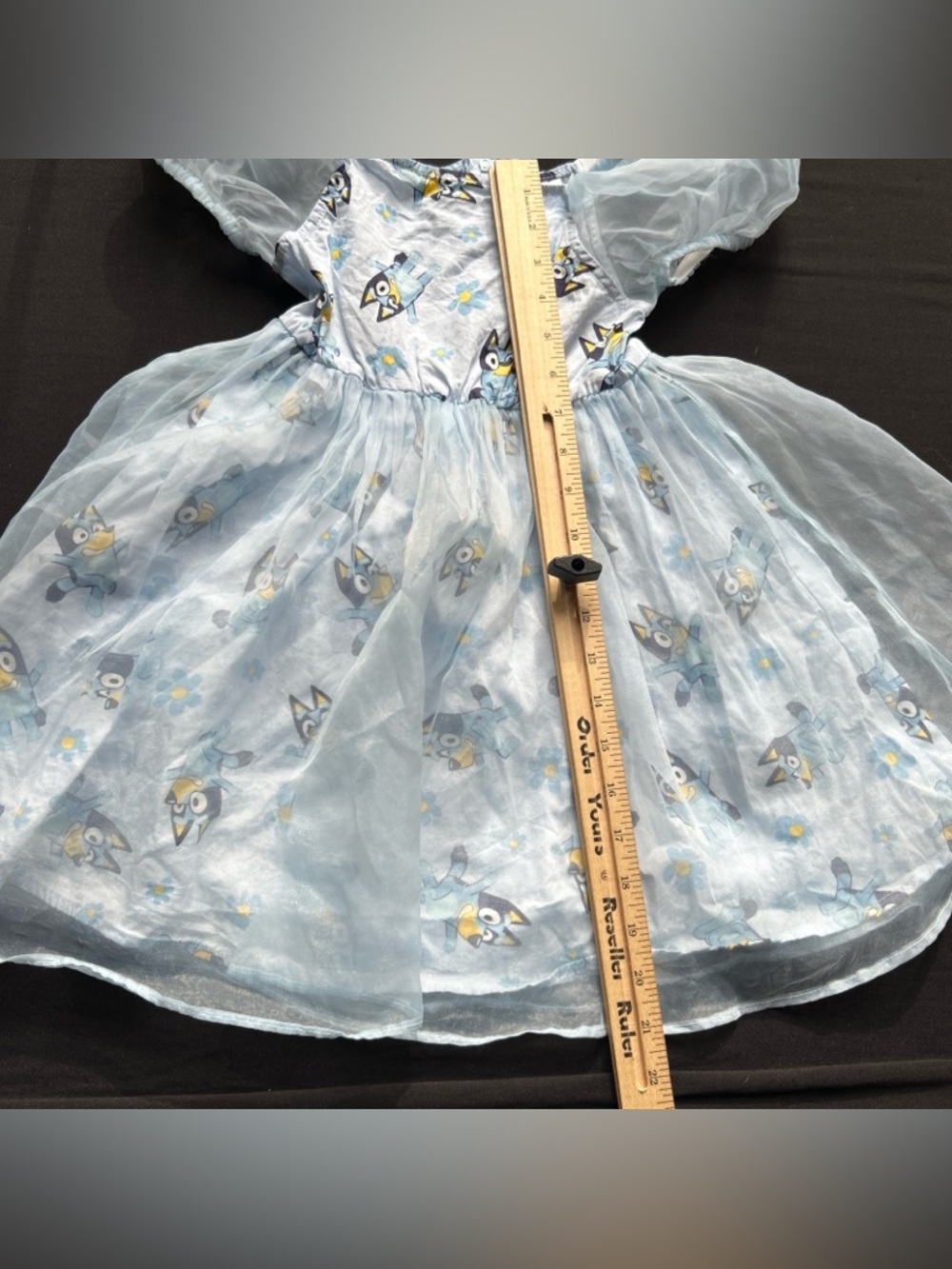 Bluey Girls Sheer Princess Dress Dog Kids Party Dress up 5t Blue - Picture 6 of 9